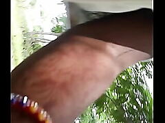 Desi bird